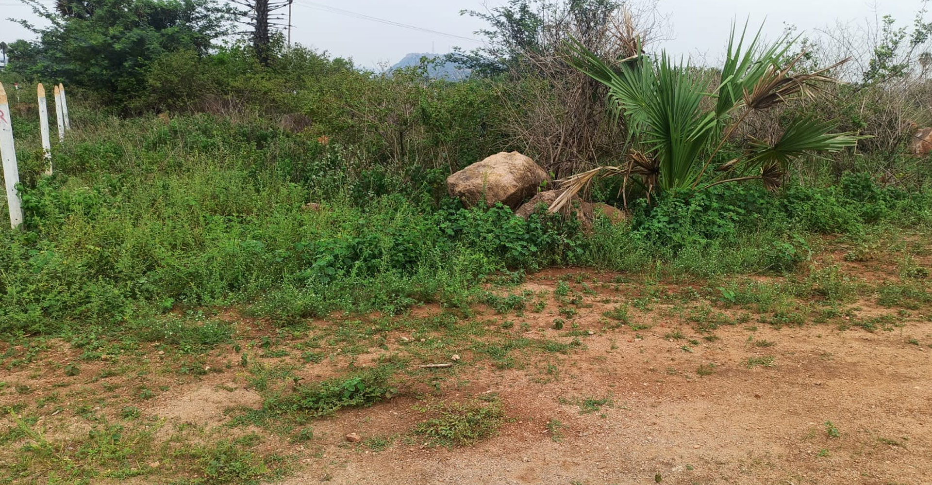 Bhagya-Sri-Nagar-Gunthapally-Plots-Mazidpur-in-Abdullapurmet-Hyderabad