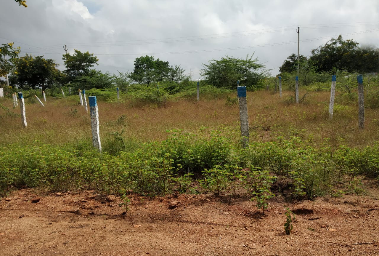 Ramoji-Film-City-Near-Plots-Neart-to-Abdullapurmet-Rangareddy-Hyderabad