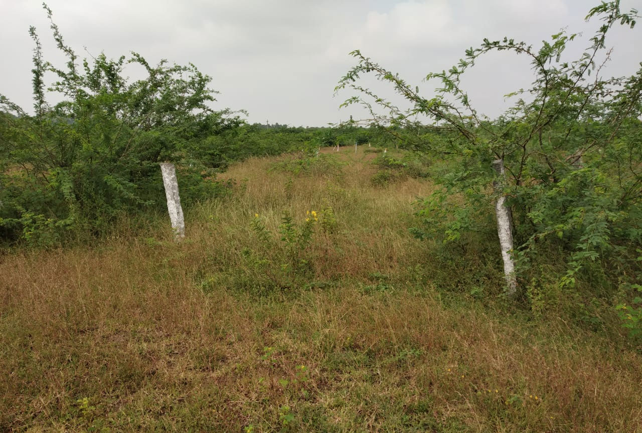 Sri-Mayuri-Nagar-Batasingaram-Plots-Batasingaram-in-Hyderabad